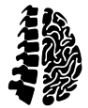 NEUROCIRUGIA.COM